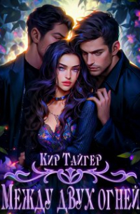 Между двух огней