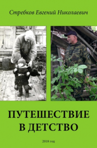Евгений Николаевич Стребков - Путешествие в детство