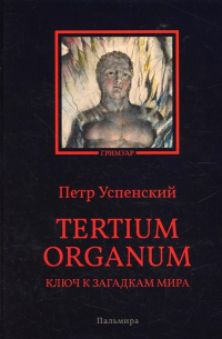 Пётр Успенский - Tertium organum. Ключ к загадкам мира