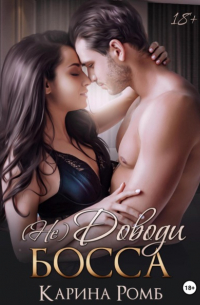 (Не)Доводи босса