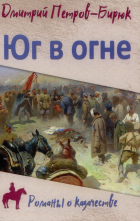 Дмитрий Петров (Бирюк) - Юг в огне