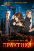 Регина Мартюшова - Академия магии. Практика. Книга 2
