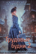Джейд Дэвлин - Трудовые будни барышни-попаданки 2