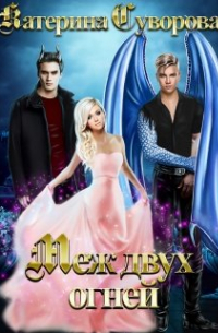 Меж двух огней