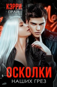 Кэрри Прай - Осколки наших грез
