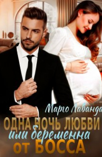 Марго Лаванда - Одна ночь любви Или беременна от босса