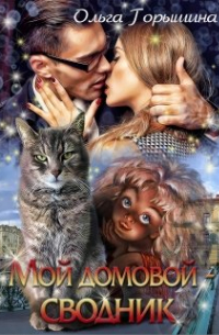 Мой домовой — сводник
