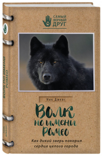 Волк по имени Ромео. Как дикий зверь покорил сердца целого города