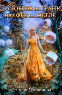Любовь на грани, или Фея на метле
