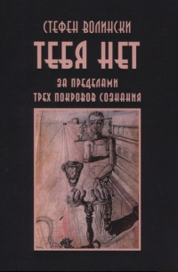 Стефен Волински - Тебя нет. За пределами трех покровов сознания