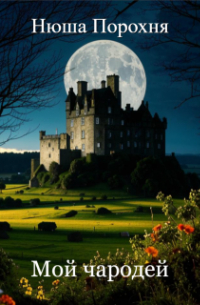 Мой чародей