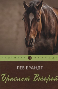 Браслет Второй