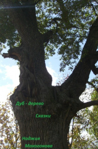 Наджия Макогонова - Дуб-дерево