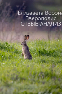 Елизавета Сергеевна Ворона - Зверополис. Отзыв-анализ