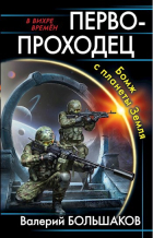 Валерий Большаков - Первопроходец. Бомж с планеты Земля