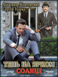  - Тень на ярком солнце