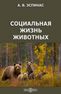 Социальная жизнь животных