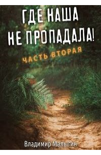Владимир Малыгин - Становление мага