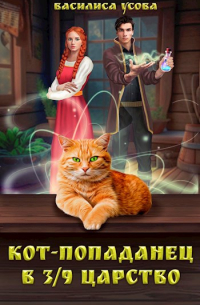 Кот-попаданец в 3/9 царство