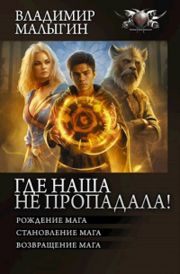 Владимир Малыгин - Рождение мага