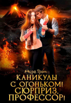 Мира Гром - Каникулы с огоньком! Сюрприз, профессор!