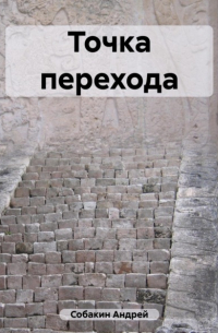Андрей Собакин - Точка перехода