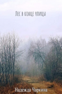 Лес в конце улицы