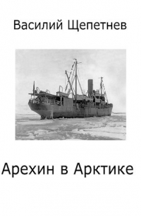 Василий Щепетнев - Арехин в Арктике