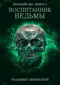 Владимир Деминский - Книга 2. Воспитанник ведьмы