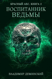 Владимир Деминский - Книга 2. Воспитанник ведьмы