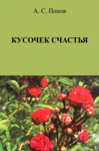 Александр Семёнович Попов - Кусочек счастья