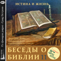 Дмитрий Георгиевич Добыкин - Мужчина и женщина в Священном Писании (часть 1)