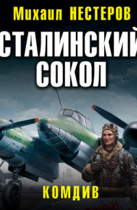 Сталинский сокол. Комдив