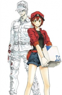 Аканэ Симидзу - Cells At Work! Manga Box Set