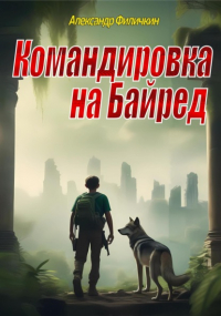 Александр Тимофеевич Филичкин - Командировка на Байред