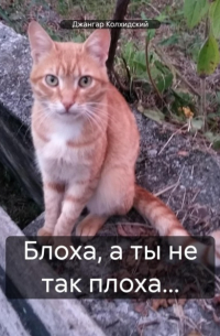 Джангар - Блоха, а ты не так плоха…
