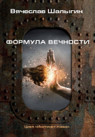 Вячеслав Шалыгин - Формула вечности. Инстинкт гнева 2