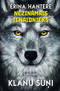 Nezināmais ienaidnieks