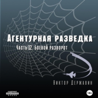 Виктор Державин - Агентурная разведка. Часть 12. Боевой разворот
