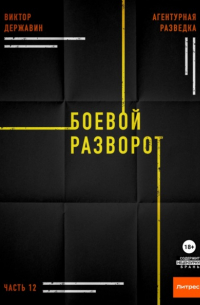 Виктор Державин - Агентурная разведка. Часть 12. Боевой разворот
