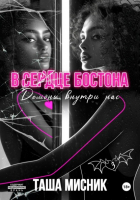 Таша Мисник - В сердце Бостона. Демоны внутри нас