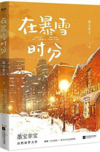 Мо Бао Фэй Бао  - 在暴雪时分