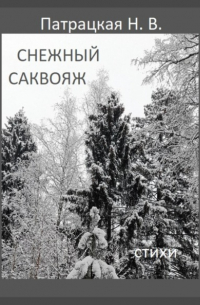 Снежный саквояж