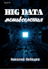 Николай Лебедев - Big Data. Метавселенная
