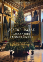Игорь Евдокимов - Доктор Фальк. Новогоднее расследование