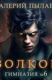 Волков. Гимназия №6