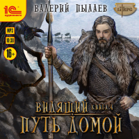 Валерий Пылаев - Видящий. Путь домой