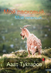 Азат Туктаров - Будни Мейората