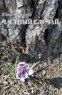 Частный случай