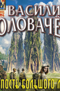 Крепость большого леса